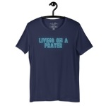 Back view of plain navy T-shirt on a wooden hanger.